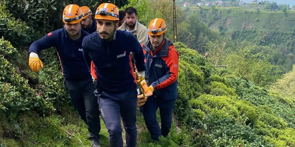 Dağın yamacından düşen çiftçi öldü