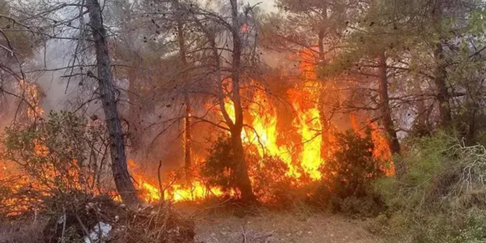 Orman alevlere teslim oldu! 4 kişi hayatını kaybetti