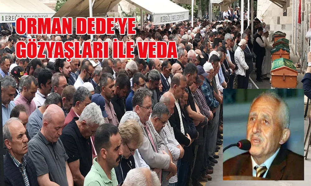 Orman Dede kendi ormanının yanındaki mezarlıkta toprağa verildi